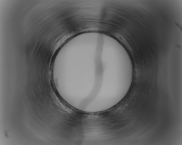X0000100870890200807181234