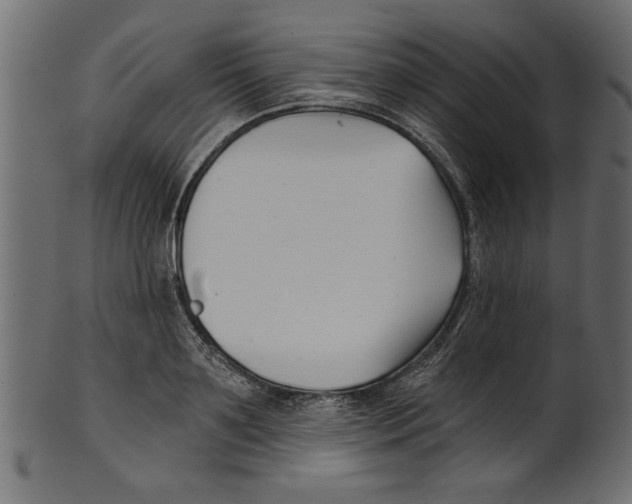 X0000100870891200807181234