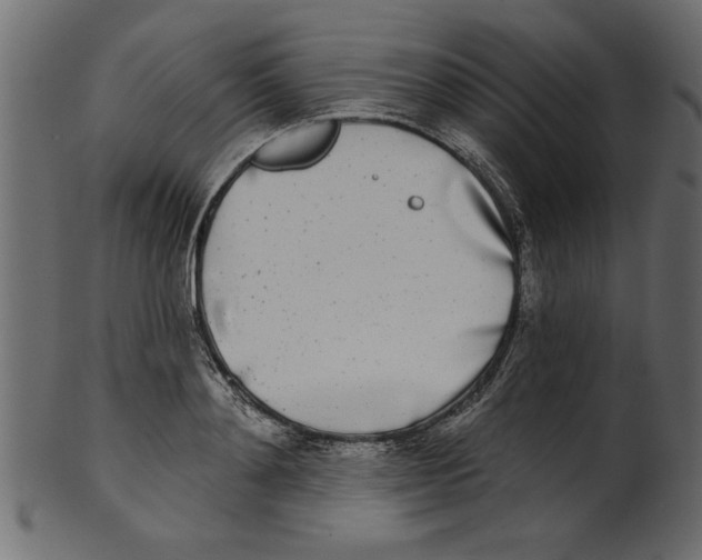 X0000100870892200807181234