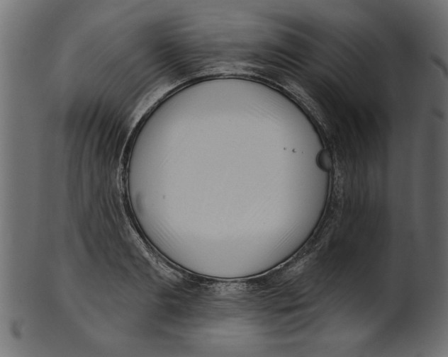 X0000100870893200807181234
