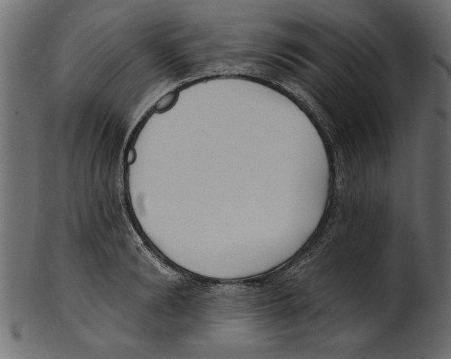 X0000100870894200807181234
