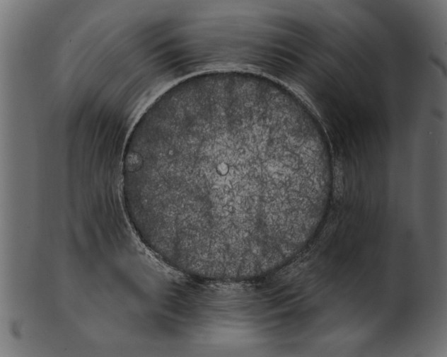 X0000100870895200807181234