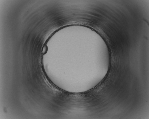 X0000100870896200807181234