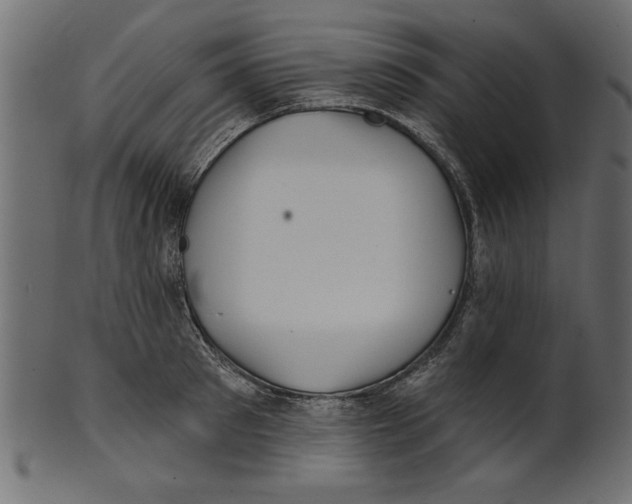 X0000100870897200807181234