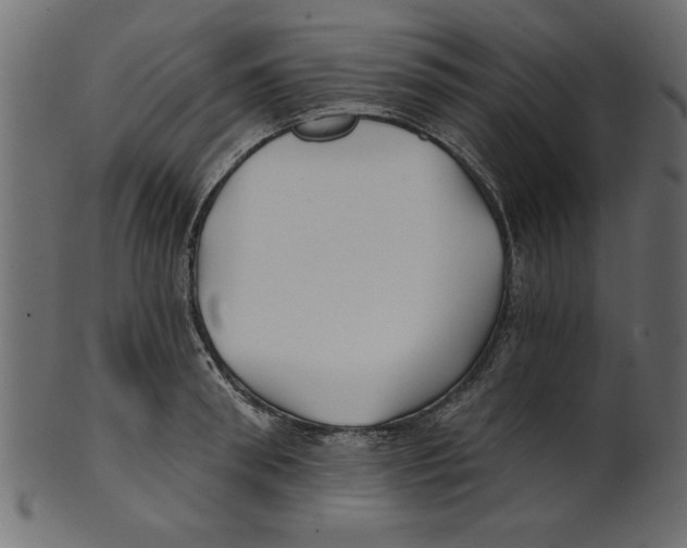X0000100870898200807181234