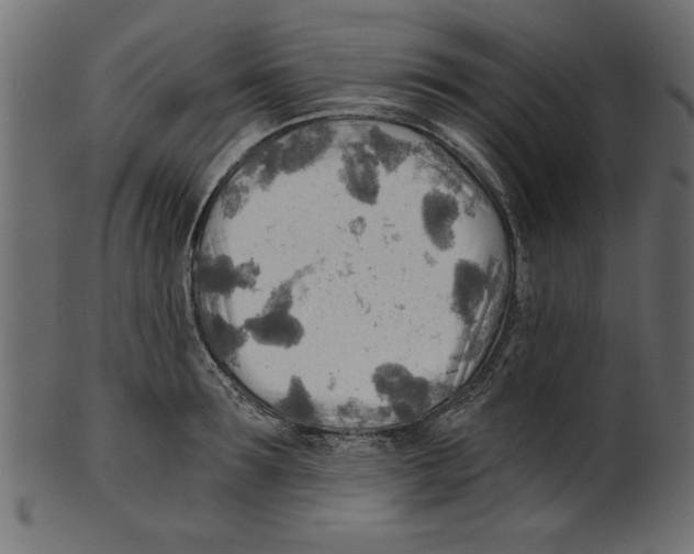X0000100870899200807181234