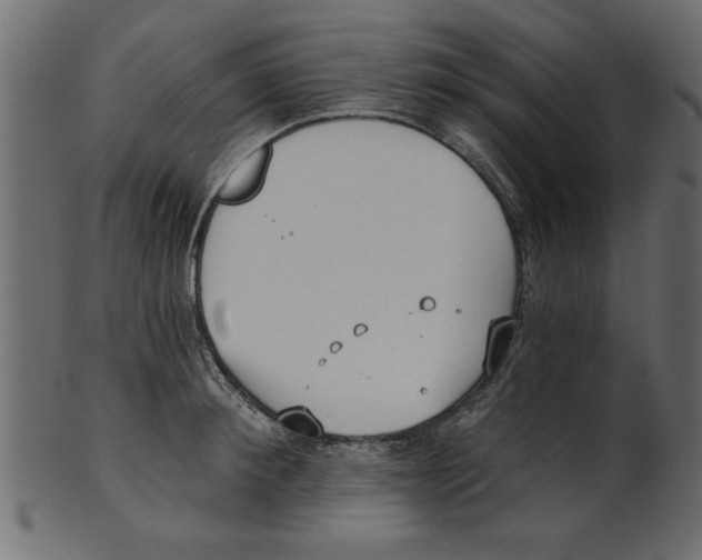 X0000100870900200807181234