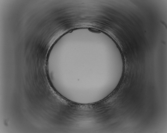 X0000100870901200807181234