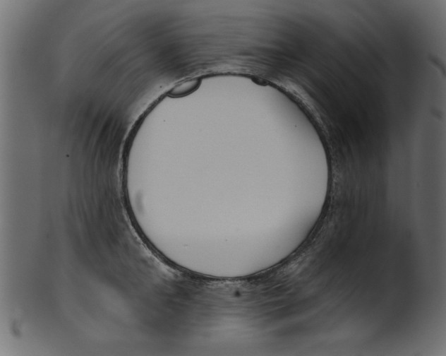 X0000100870902200807181234