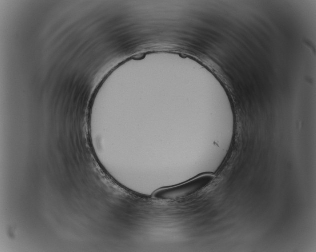 X0000100870904200807181234