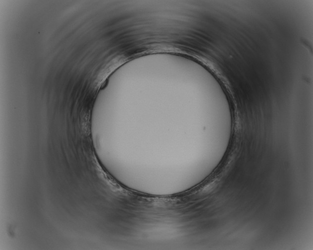X0000100870905200807181234