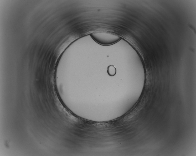X0000100870906200807181234