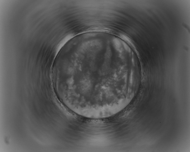 X0000100870907200807181234