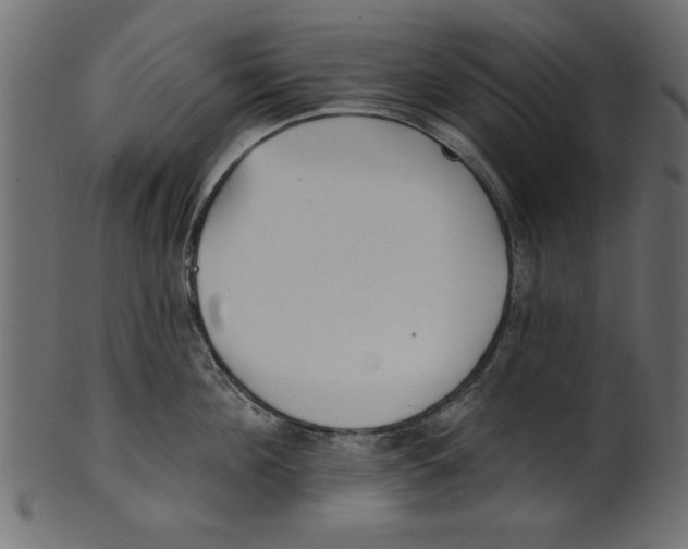X0000100870908200807181234