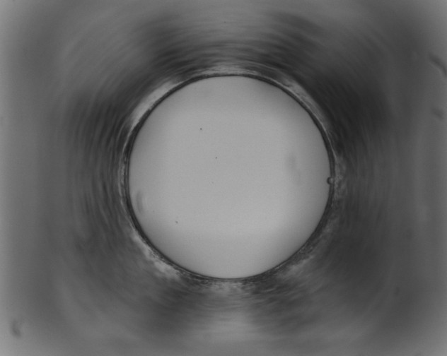 X0000100870909200807181234