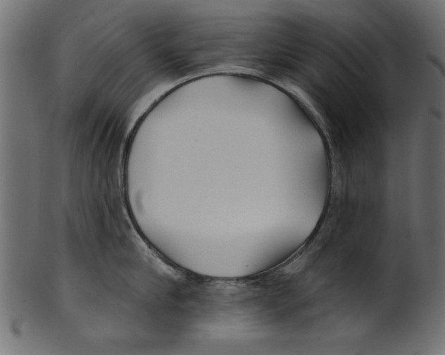 X0000100870910200807181234