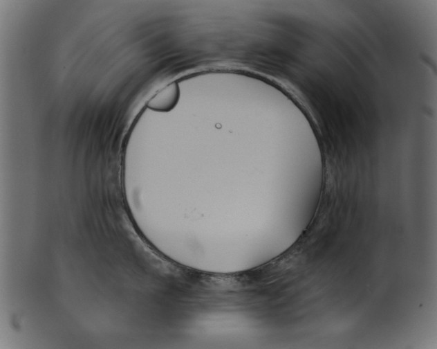 X0000100870911200807181233