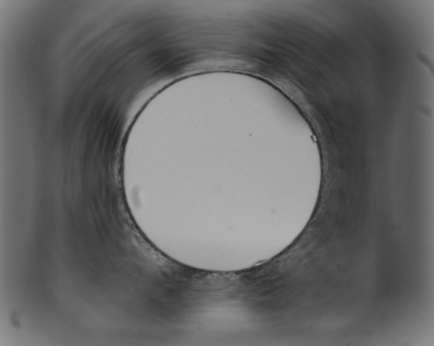 X0000100870912200807181233