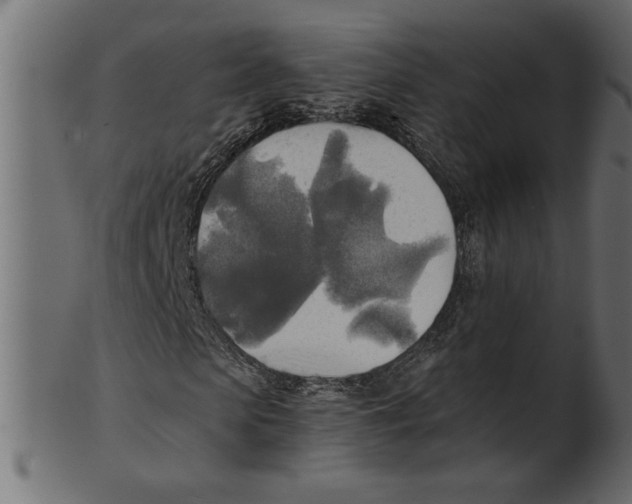 X0000100870913200807181233