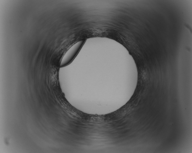 X0000100870914200807181233