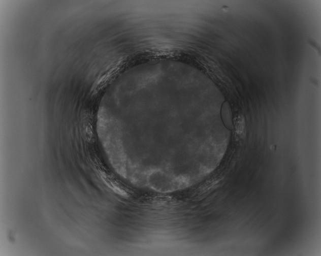X0000100870916200807181233