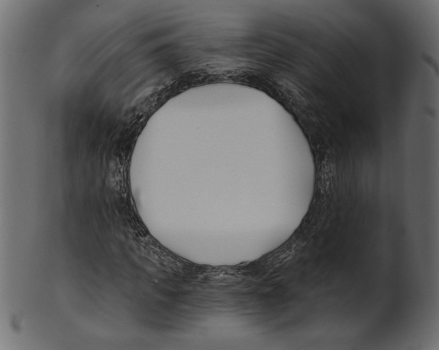 X0000100870917200807181233