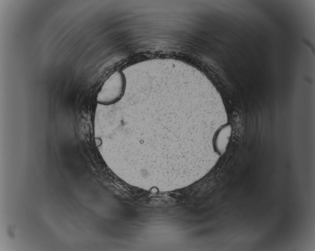 X0000100870918200807181233