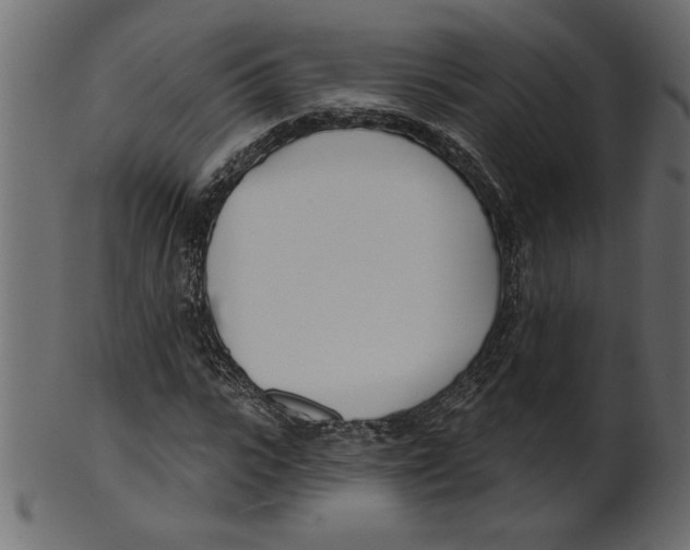 X0000100870919200807181233