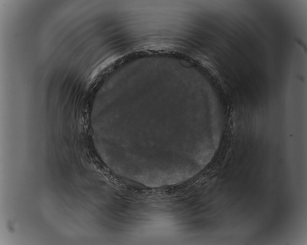 X0000100870920200807181233