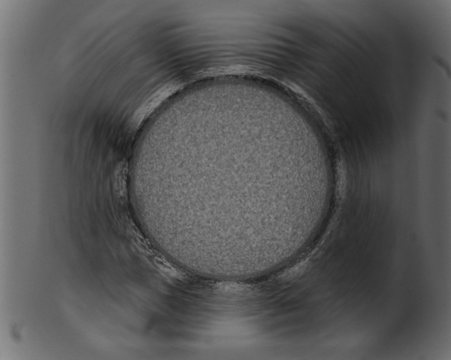 X0000100870921200807181233
