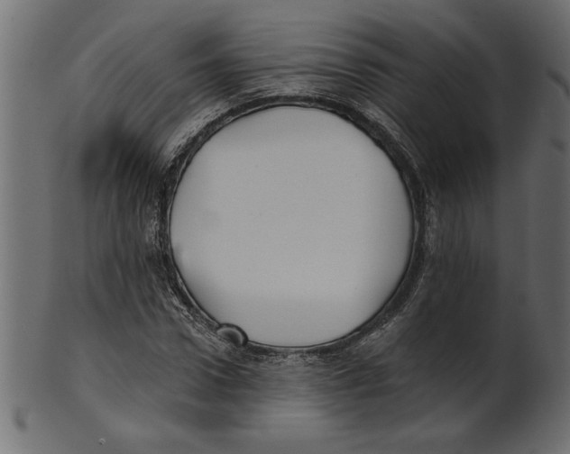 X0000100870922200807181233