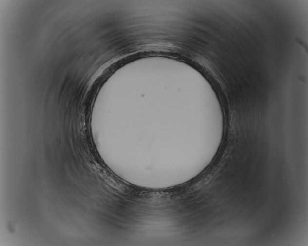 X0000100870923200807181233