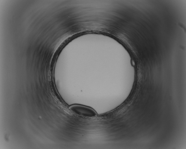 X0000100870924200807181233