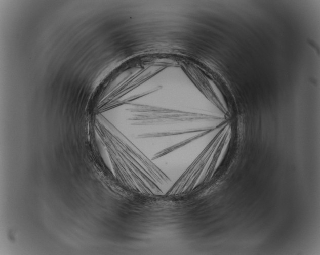 X0000100870925200807181233