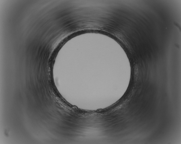X0000100870926200807181233