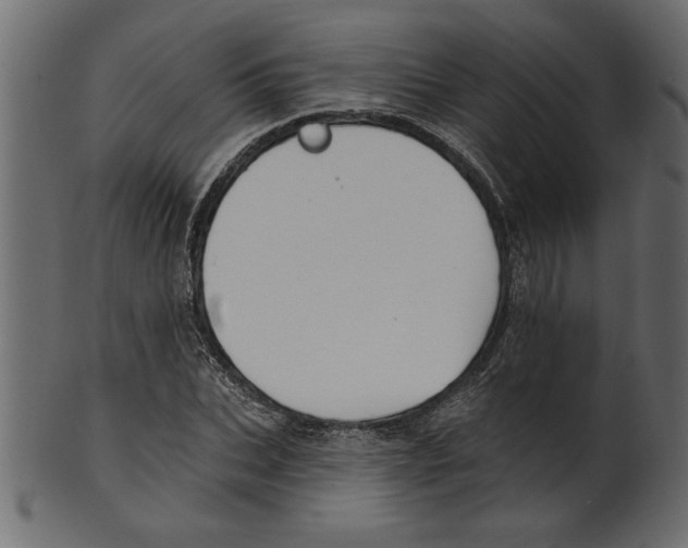 X0000100870927200807181233
