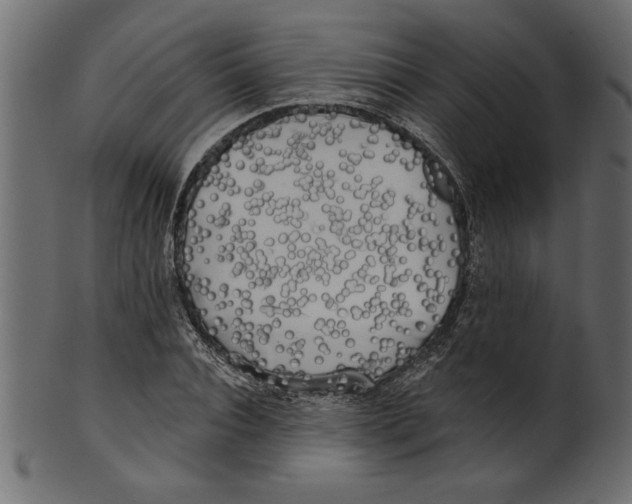 X0000100870928200807181233