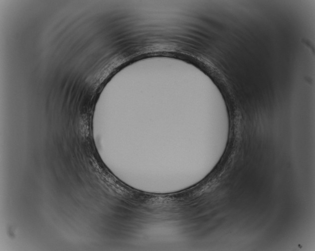 X0000100870929200807181233