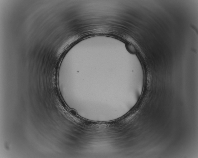 X0000100870930200807181233