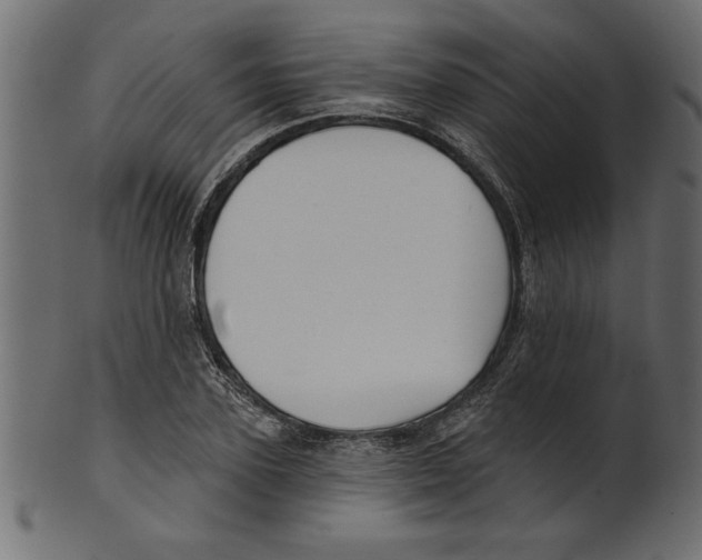X0000100870931200807181233