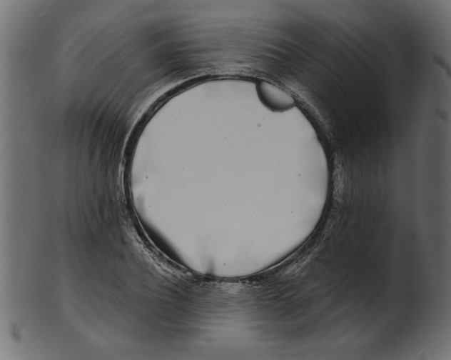 X0000100870932200807181233