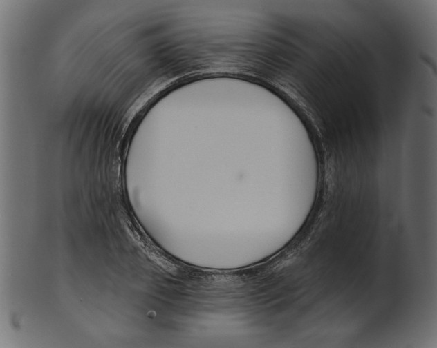 X0000100870933200807181233
