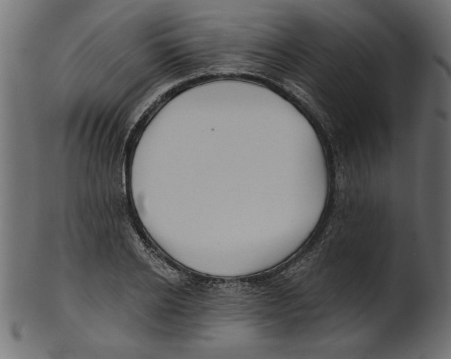 X0000100870934200807181233