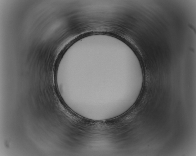 X0000100870935200807181233