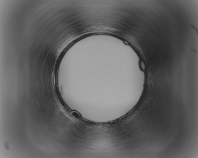 X0000100870936200807181233