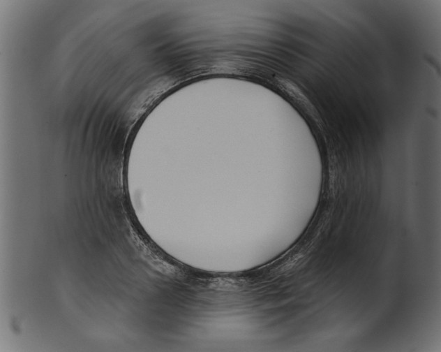 X0000100870938200807181233