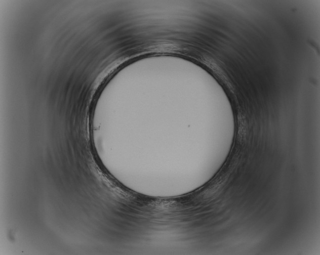 X0000100870939200807181233