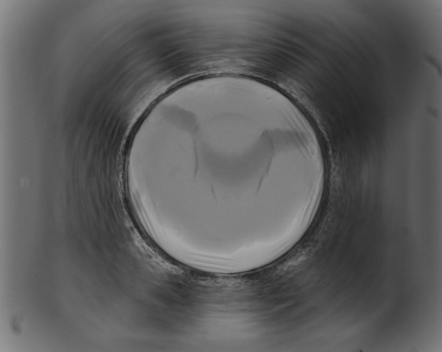 X0000100870941200807181233