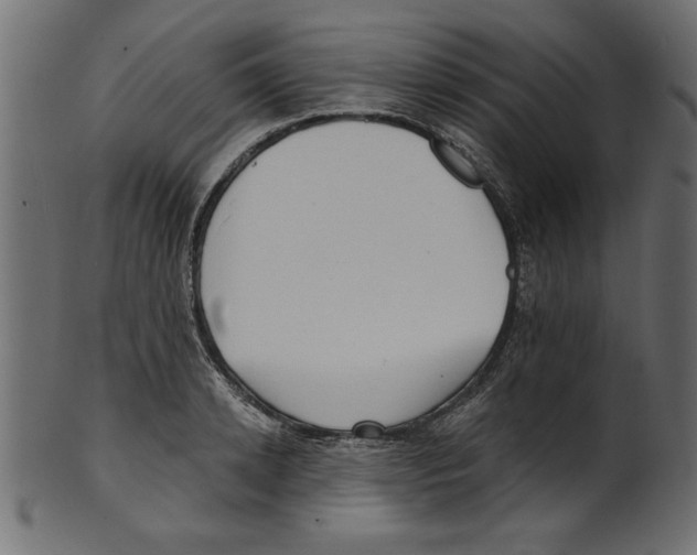 X0000100870942200807181233
