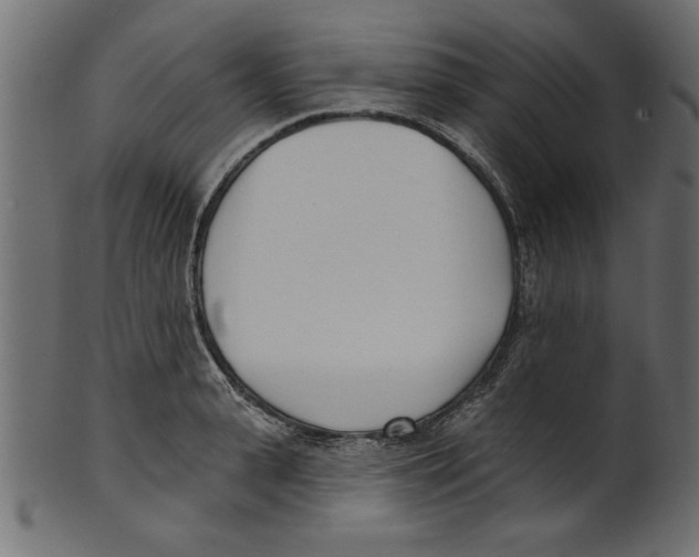 X0000100870943200807181233